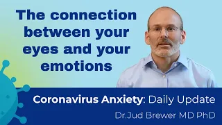 3 steps to go from anxiety to curiosity using your eyes (Daily Update 23)