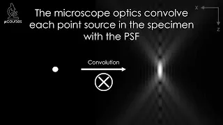 The Point Spread Function