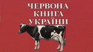 Корови будуть занесені до червоної книги.  Як в селі колись корів тримали...