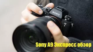 Sony Alpha A9 экспресс обзор