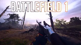 The MOST Immersive Battlefield Ever Created