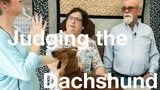 Judging the Dachshund with Pam & Dave Peat