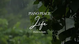 Life | Piano & Rain | Peaceful Nature Sleep Song with Rain Sounds & Piano