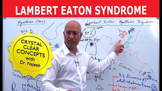 Lambert Eaton Syndrome - Clinical Medicine