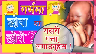 गर्भमा छोरा छन या छोरी? घरमै बसेर पत्ता लगाउनुहोस! Baby Boy or Girl, 10 ways to find it! Moms Nepal.