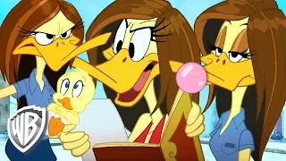 Looney Tunes en Français | La Tina Russo au tempérament de feu | WB Kids