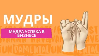 Мудра успеха в бизнесе за 5 минут в день