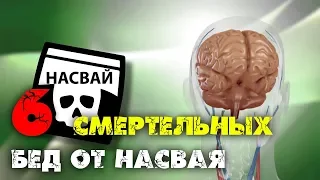 6 смертельных бед от насвая