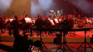 Metallica - Moth into Flame (w/ The San Francisco Symphony)