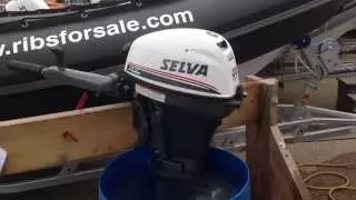 Selva Pike 9.9 hp outboard motor