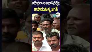 ఐదేళ్లుగా అవినాష్‌రెడ్డిని - కాపాడుతున్న జగన్‌ | వైఎస్‌ షర్మిల