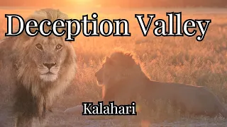 Kalahari Deception Valley April 2023 Botswana