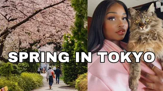 JAPAN SPRING VLOG Day in the life Cherry Blossom hunting in Tokyo