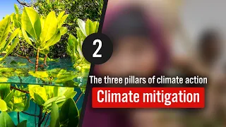 What is climate mitigation? Understand a key pillar of climate action.