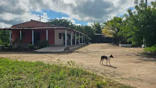 LINDA CHÁCARA À VENDA COM MUITAS FRUTEIRAS BARRAGEM POÇO ARTESIANO O RIO PASSA DETRO DA PROPRIEDADE