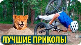 ПРИКОЛЫ #4 18+ приколов Апрель 2016 Смешно