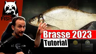 Russian Fishing 4 - Alte Festung - Brassen Tutorial 2023