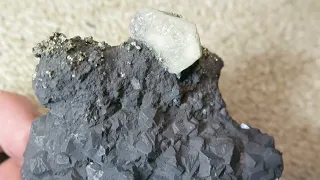 FLUORAPATITE,GALENA,PYRITE(SAN OSE MINE)