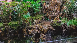 Making an Aquaterrarium with a big waterfall