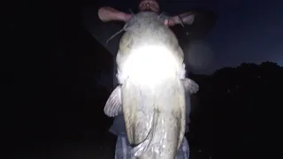 EPIC GIANT Flathead caught on New Bait!!! (We thought we were snagged..)