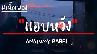 ANATOMY RABBIT - แอบหวัง (เนื้อเพลง)