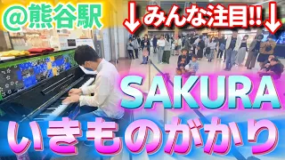 お花見に来た人達へ捧げる いきものがかり「SAKURA」【ストリートピアノ】