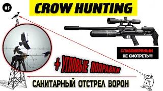 Санитарный отстрел ворон #6 / FX Maverick Air Gun Pest Control. Crow Hunting 2024