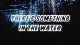 There's Something In The Water - Rory Webley (lyrics)