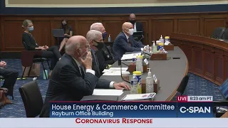 White House Coronavirus Task Force Members testify before House