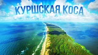 Куршская Коса – ей владеют Россия и Литва вместе! Как выглядит лучший пляж страны и худшая гостиница