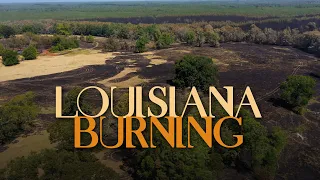 Louisiana Wildfires—Burning Out of Control