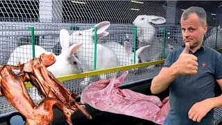 Як продати м‘ясо кролів влітку