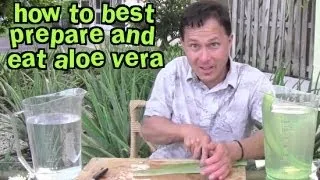 How to Best Prepare and Eat Aloe Vera & Aloe FAQ