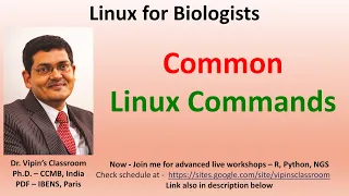 Linux_1 - Common Linux commands - including pwd, cd, ls, ls -l, mkdir, touch, cat, grep etc.