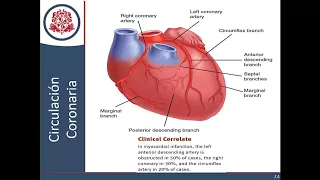 Síndrome Coronario Agudo - Parte 1 (Fisiopatología)