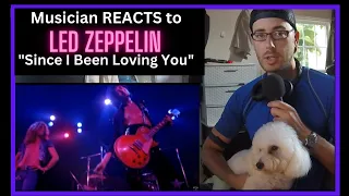 Musician REACTS to LED ZEPPELIN "Since I Been Loving You" (Live)