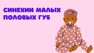 297. Синехии малых половых губ @DrOlenaB