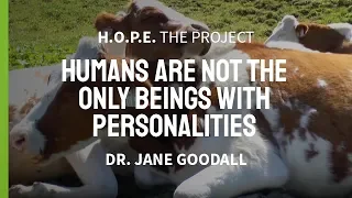 Dr. Jane Goodall: “Humans Are Not The Only Beings With Personalities, ....” | H.O.P.E. The Project