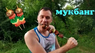 МУКБАНГ НА ПРИРОДЕ / ШАШЛЫК / BARBECUE  / MUKBANG  / eating show /먹방