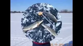 waconia ice fishing  slideshow