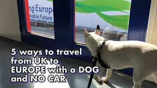 Five PET FRIENDLY ways to travel from the UK to EUROPE with NO CAR