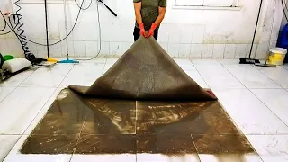 Shocking dirty carpet cleaning satisfying rug cleaning ASMR