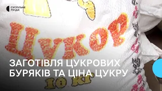 На Волині триває заготівля і переробка цукрових буряків