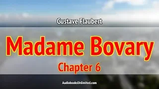 Madame Bovary Audiobook Chapter 6 with subtitles