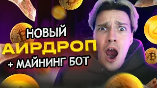 Это вам НЕ НОТКОИН! ЖИРНЫЙ ДРОП: Catizen 2 + аирдроп TON. Как быстро прокачать кошек Катизен