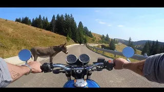 Moto  Guzzi  V7 Donkey  RIDE I 4K Pure Engine Sound Only