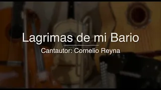 Lagrimas de mi Barrio - Puro Mariachi Karaoke - Cornelio Reyna