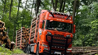 Holztransport Scania R580