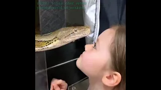 A Small Girl Playing With A Big Python Snake 😇| Python Also Like Her |