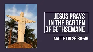 Matthew 26:36-46 Jesus Prays In The Garden Of Gethsemane.